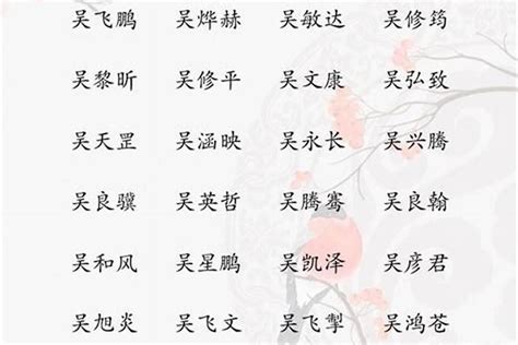 吳 取名|姓吴男孩名字大全